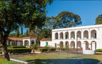 Los datos de los museos permiten conocer el impacto de la cultura en la ciudad